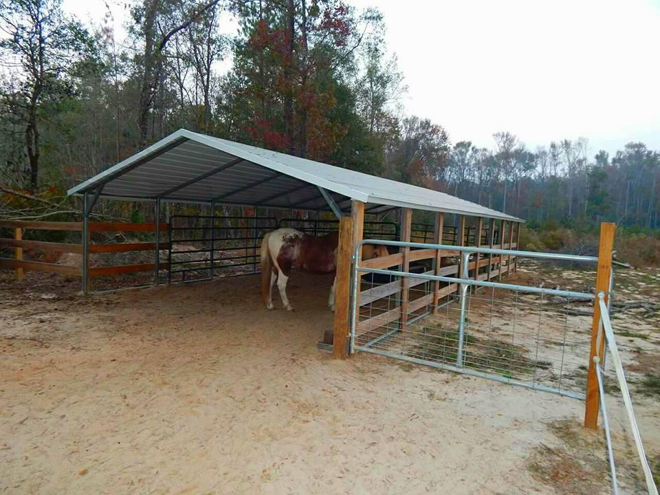 910 Bachelor Hill Road Walterboro, SC 29488 - Photo 54 of 55 20161116034541750832000000-o