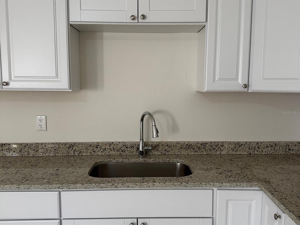 623 Beckett Way, Unit A Tarpon Springs, FL 34689 - Photo 4 of 19 a close view of sink and tap
