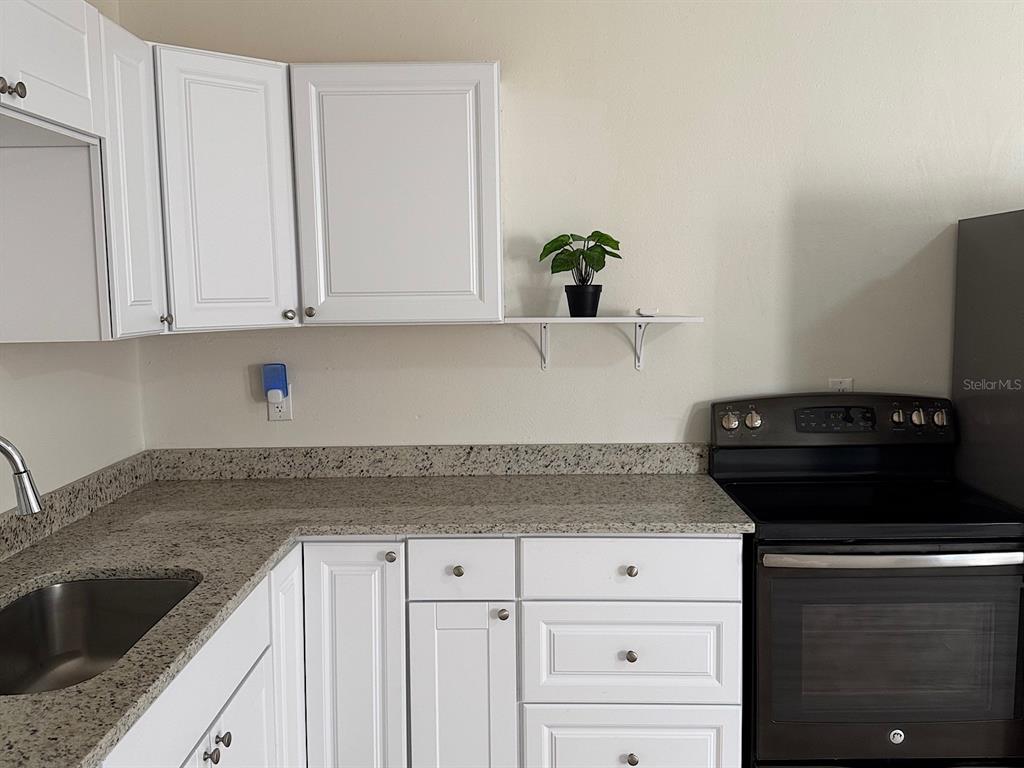 623 Beckett Way, Unit A Tarpon Springs, FL 34689 - Photo 5 of 19 a kitchen with granite countertop white cabinets and a stove