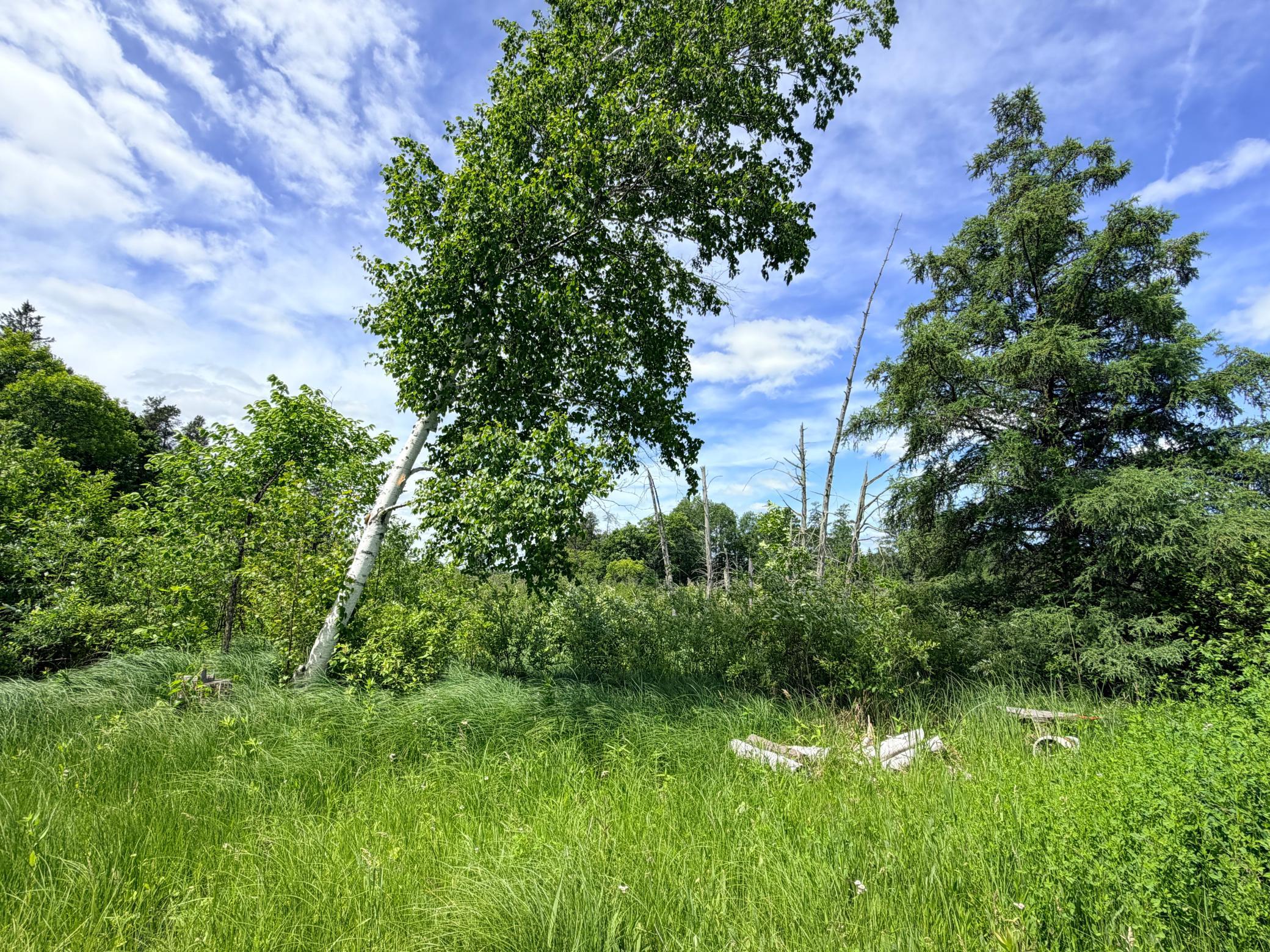 14220 Stocking Lake Road Menahga, MN 56464 - Photo 8 of 41