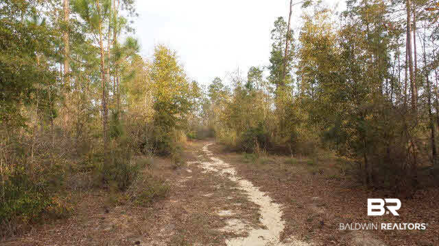 0 Lewis Road Titusville, FL 32796 - Photo 3 of 12 Gallery Image 3