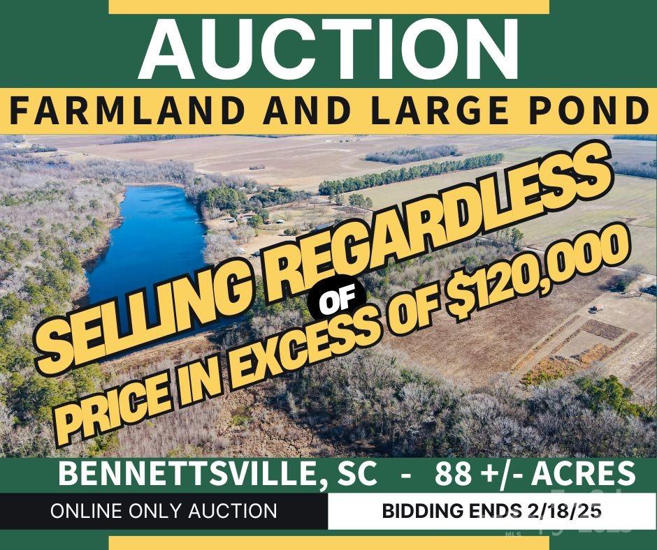0 Academy Road Bennettsville, SC 29512 - Photo 1 of 38