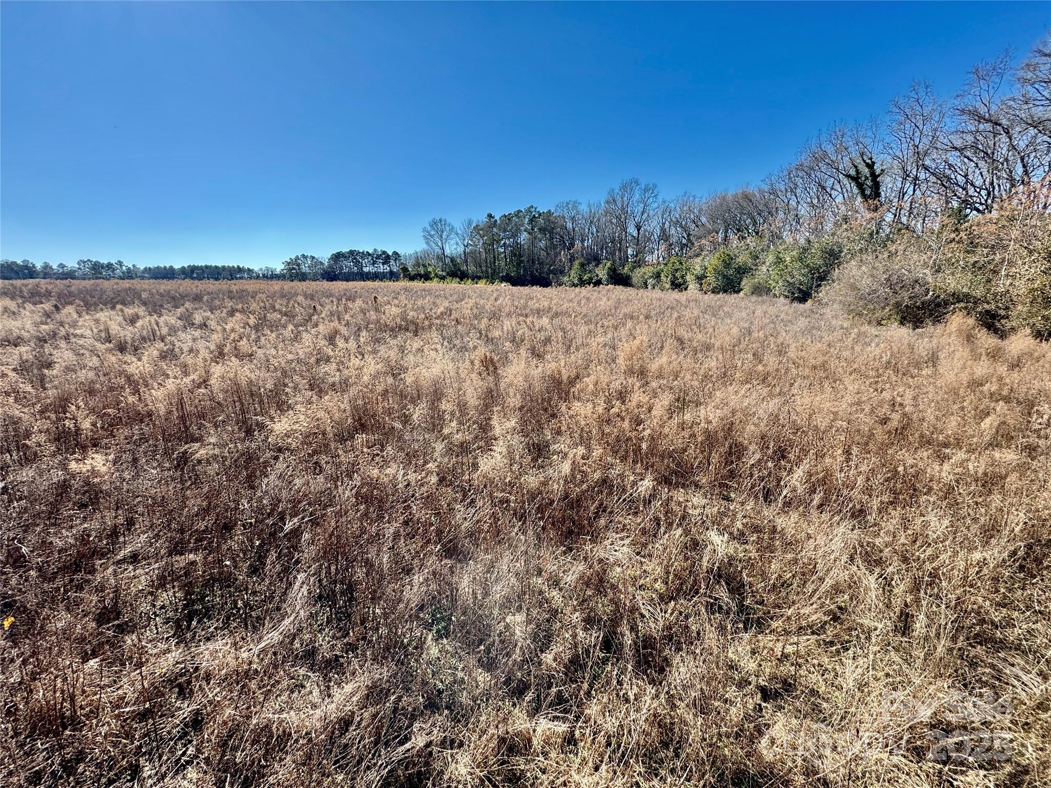 0 Academy Road Bennettsville, SC 29512 - Photo 35 of 38 a view of a field with a tree in the background