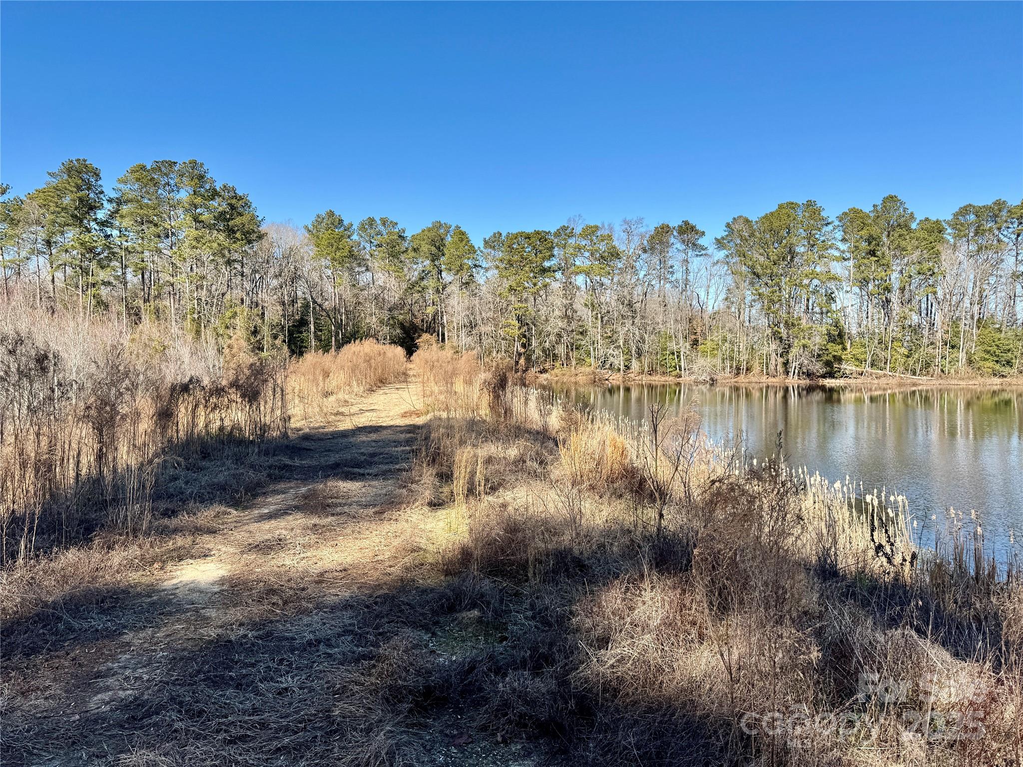 0 Academy Road Bennettsville, SC 29512 - Photo 37 of 38 a view of lake view