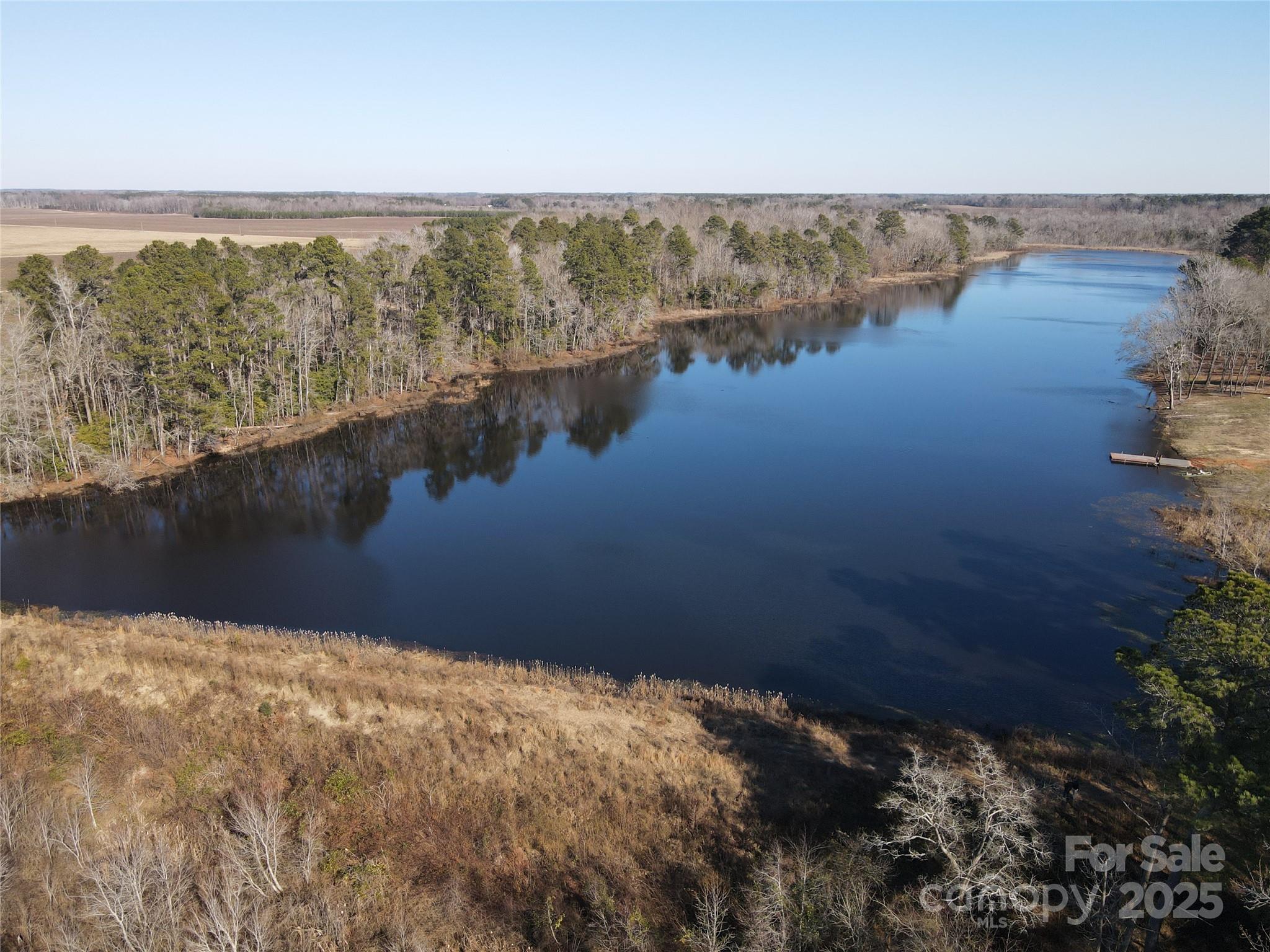 0 Academy Road Bennettsville, SC 29512 - Photo 6 of 38 a view of lake and mountain