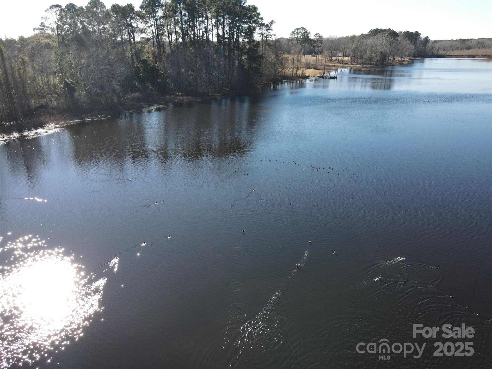 0 Academy Road Bennettsville, SC 29512 - Photo 7 of 38 a view of river covered with trees