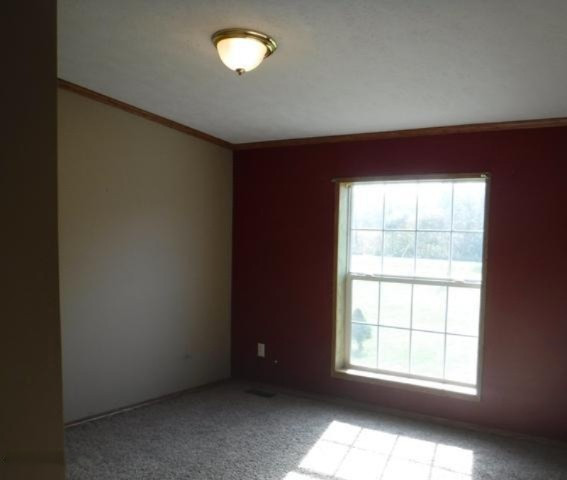 35910 72nd Avenue Decatur, MI 49045 - Photo 11 of 18 11