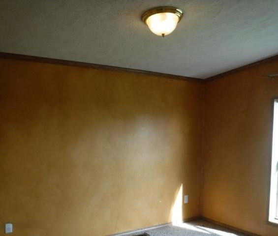 35910 72nd Avenue Decatur, MI 49045 - Photo 12 of 18 12
