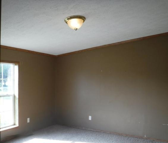 35910 72nd Avenue Decatur, MI 49045 - Photo 15 of 18 16