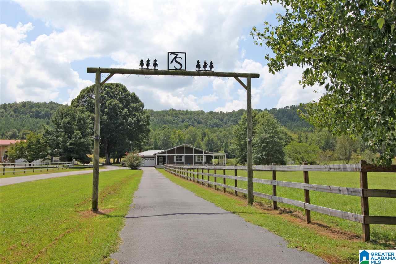 588 Seven Springs Road Wellington, AL 36279 - Photo 1 of 50
