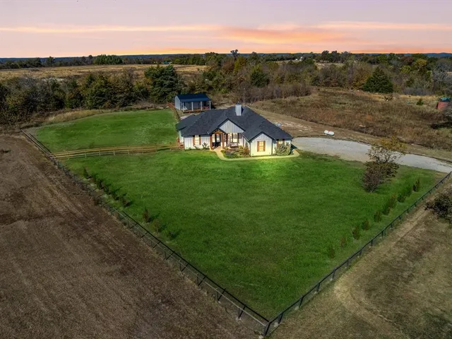 a view of a big yard with potted plants and large tree