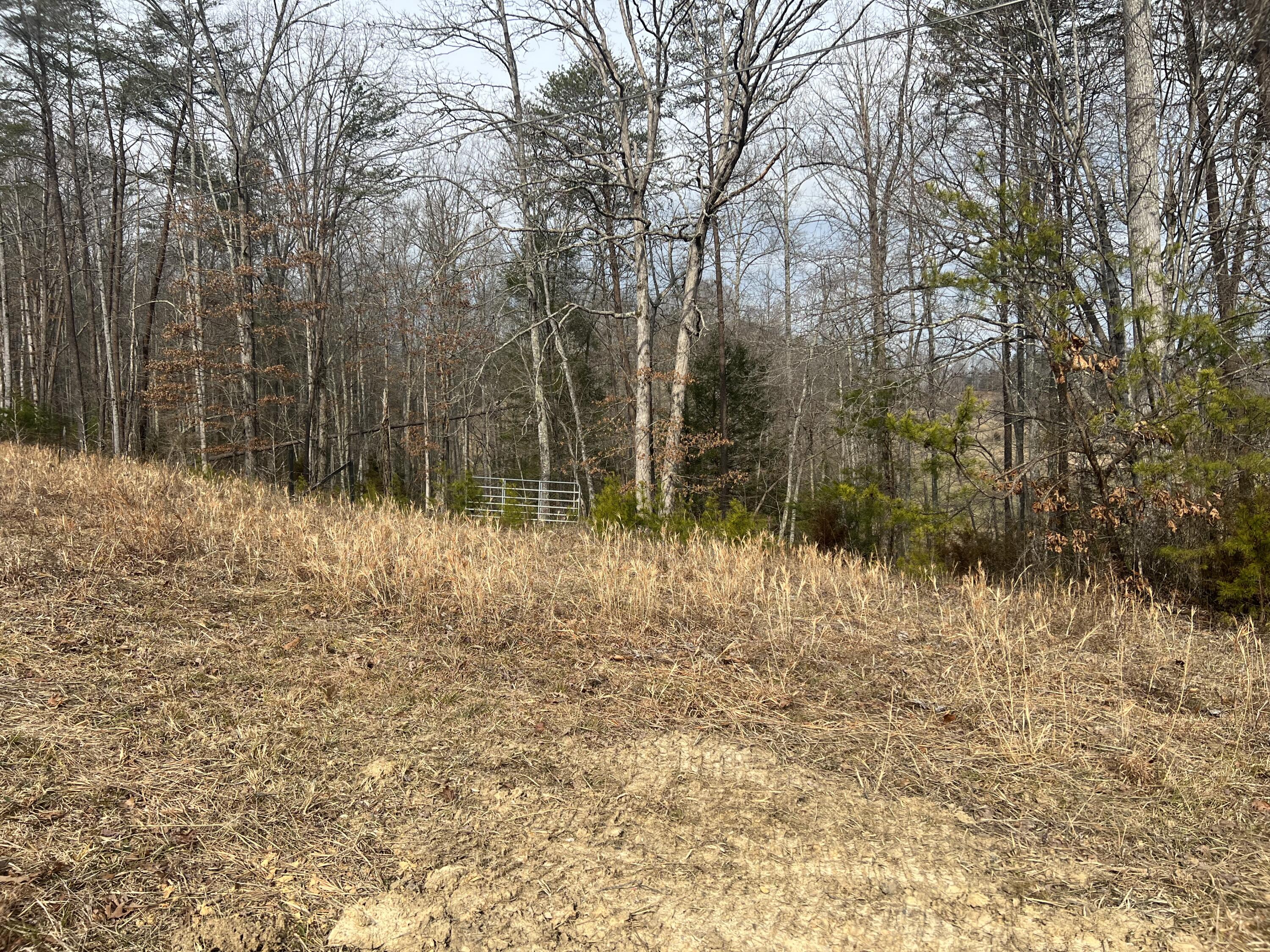 1112 Craig Road Williamsburg, KY 40769 - Photo 2 of 9 IMG_5676