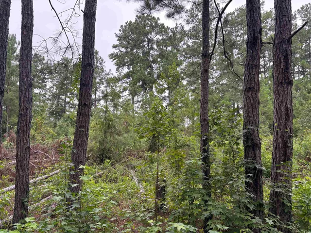 $12,000 | Lot 11 Mcgregor St Lake, Lake City, SC 29560