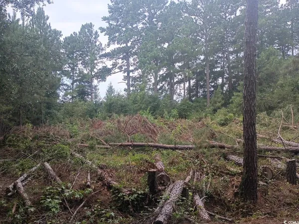 $12,000 | Lot 11 Mcgregor St Lake, Lake City, SC 29560