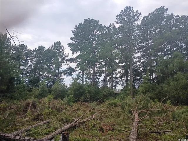 $12,000 | Lot 11 Mcgregor St Lake, Lake City, SC 29560