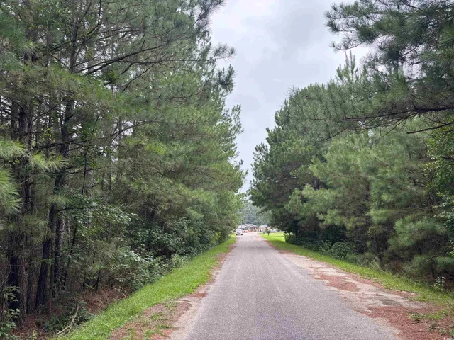$12,000 | Lot 11 Mcgregor St Lake, Lake City, SC 29560