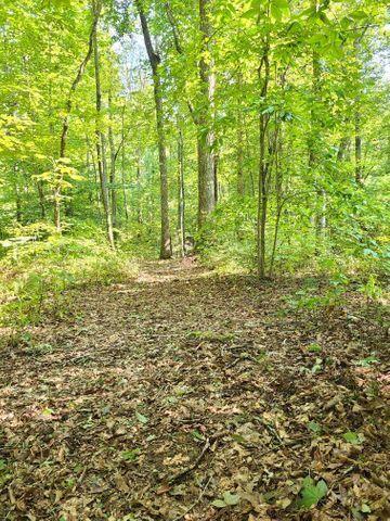 150 Chester Kelley Road Tellico Plains, TN 37385 - Photo 7 of 39 7