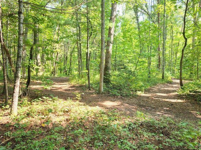 150 Chester Kelley Road Tellico Plains, TN 37385 - Photo 8 of 39 8