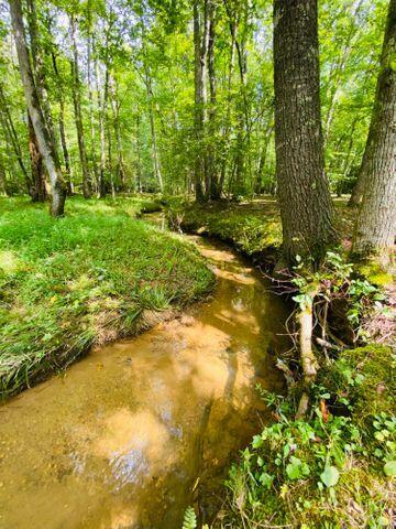 150 Chester Kelley Road Tellico Plains, TN 37385 - Photo 9 of 39 9