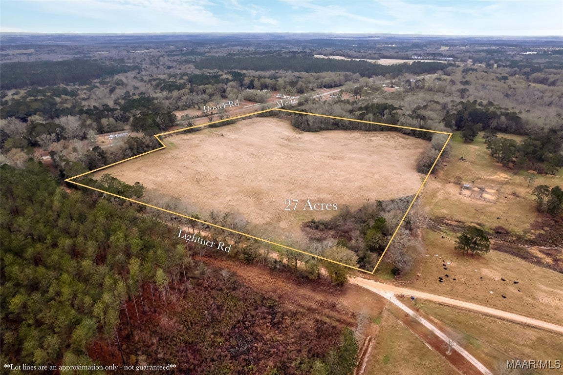 61 Doster Road Ariton, AL 36311 - Photo 8 of 13 Gallery Image 8