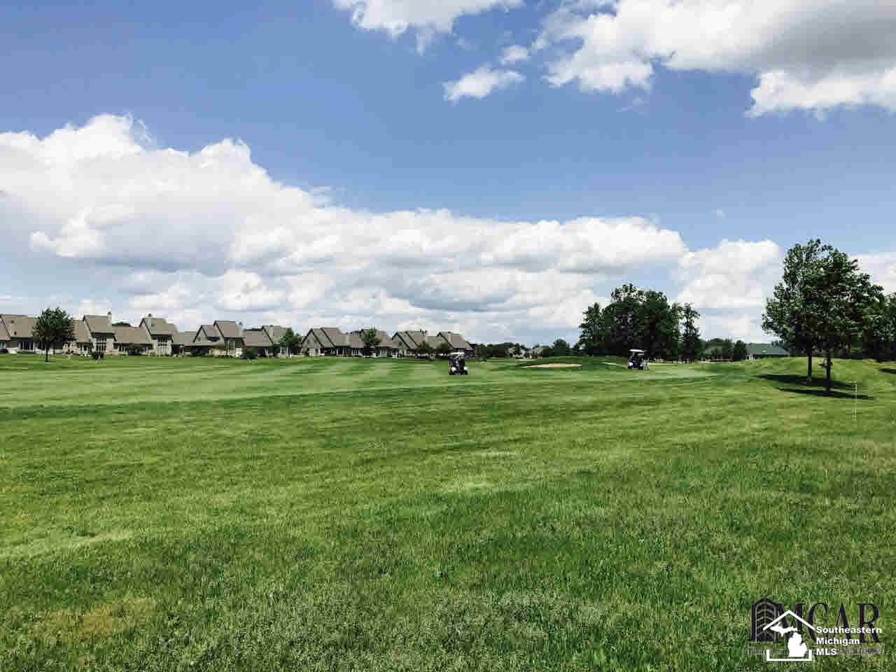 1039 St James Monroe, MI 48161 - Photo 5 of 5