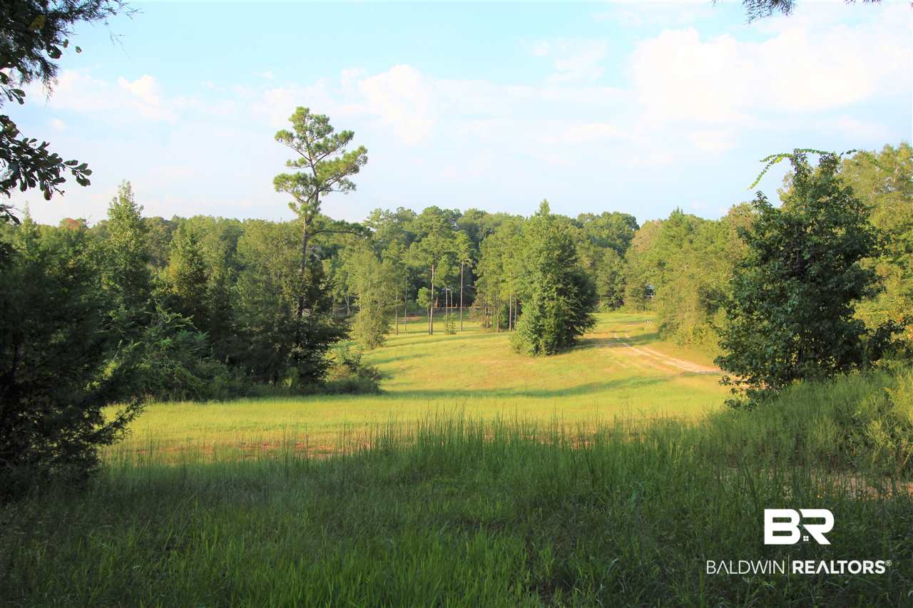 794 Dry Lake Road Luverne, AL 36049 - Photo 29 of 48 Front Pasture