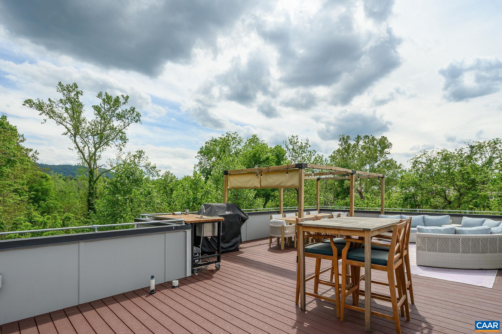 1638 Rialto Street Charlottesville, VA 22902 - Photo 20 of 27