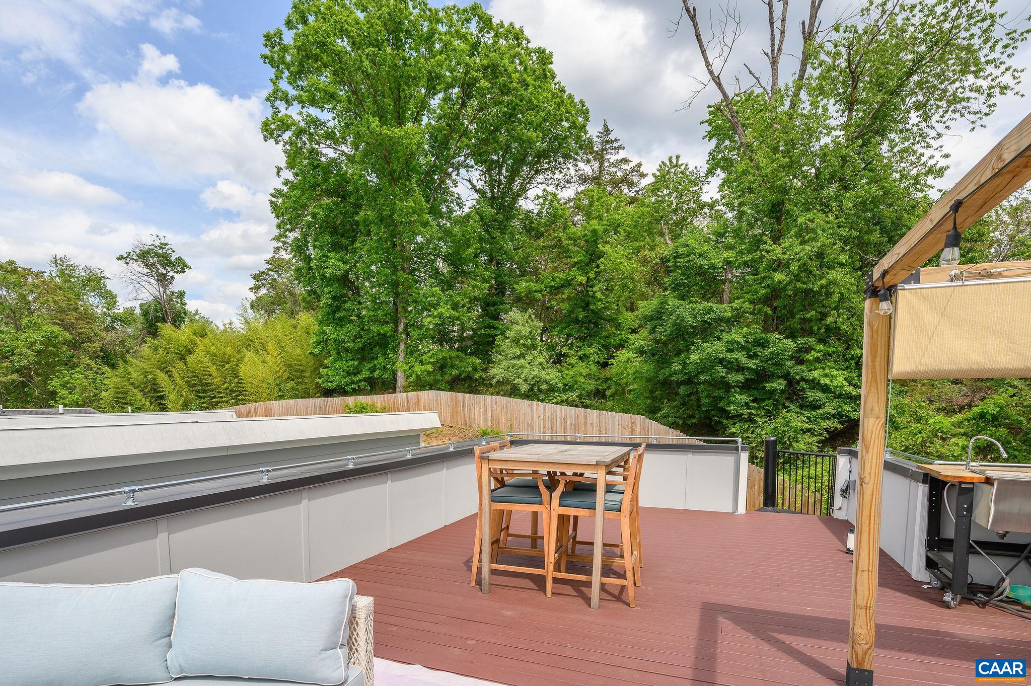 1638 Rialto Street Charlottesville, VA 22902 - Photo 22 of 27