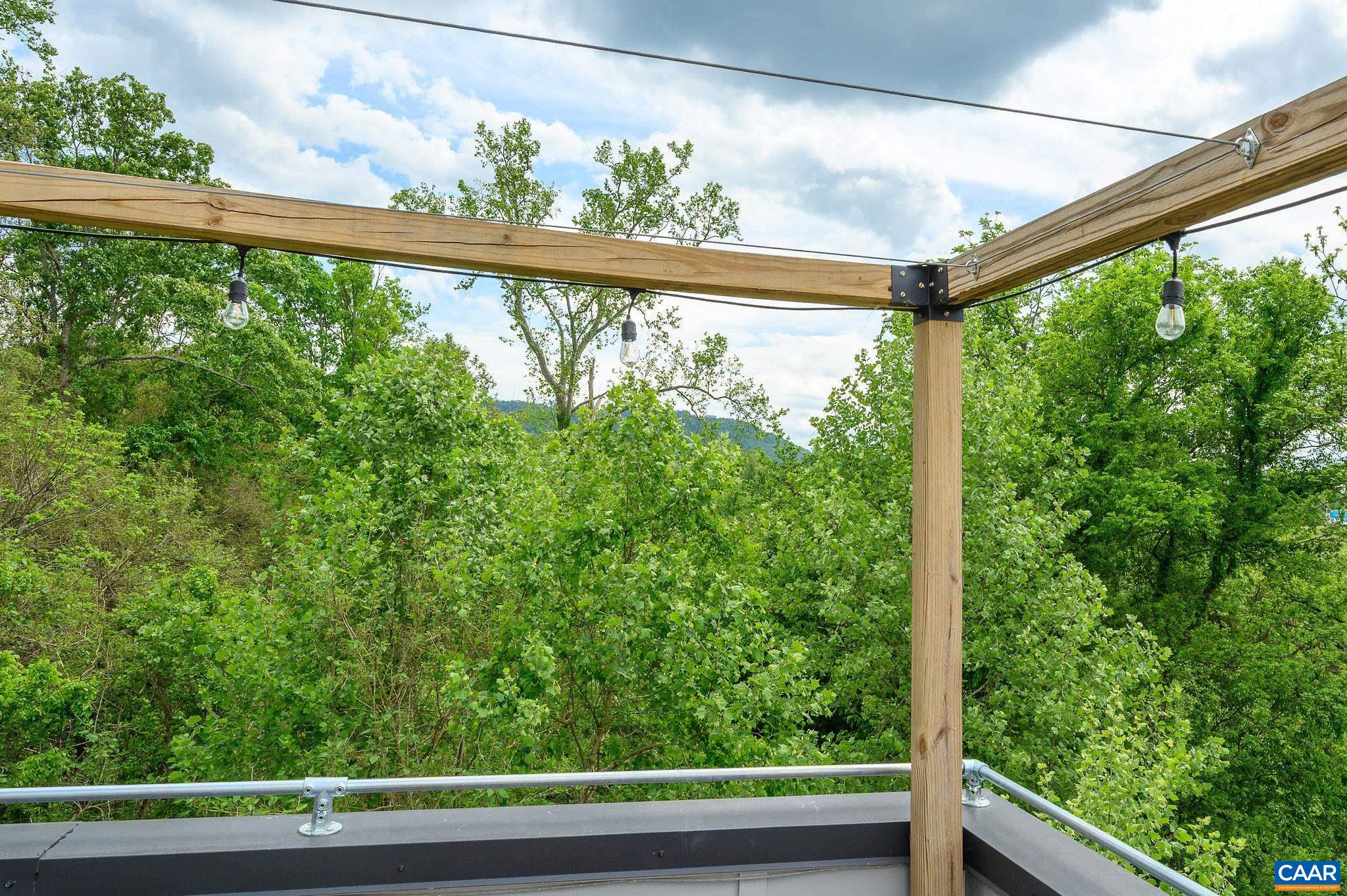 1638 Rialto Street Charlottesville, VA 22902 - Photo 25 of 27