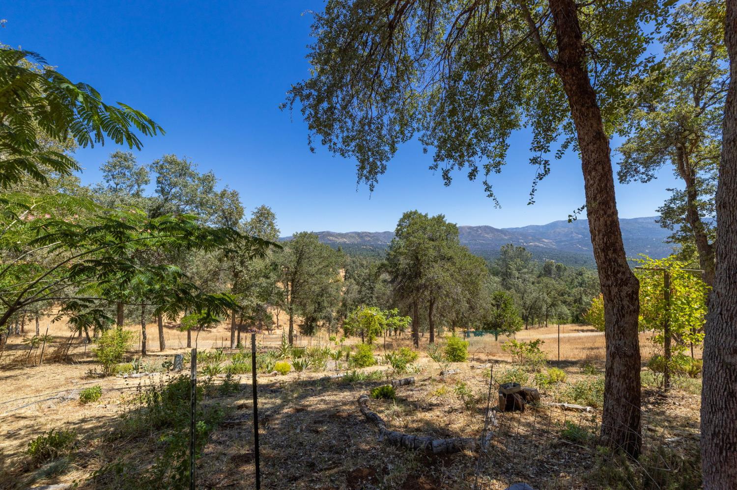 5231 Allred Road Mariposa, CA 95338 - Photo 41 of 69 Gallery Image 41