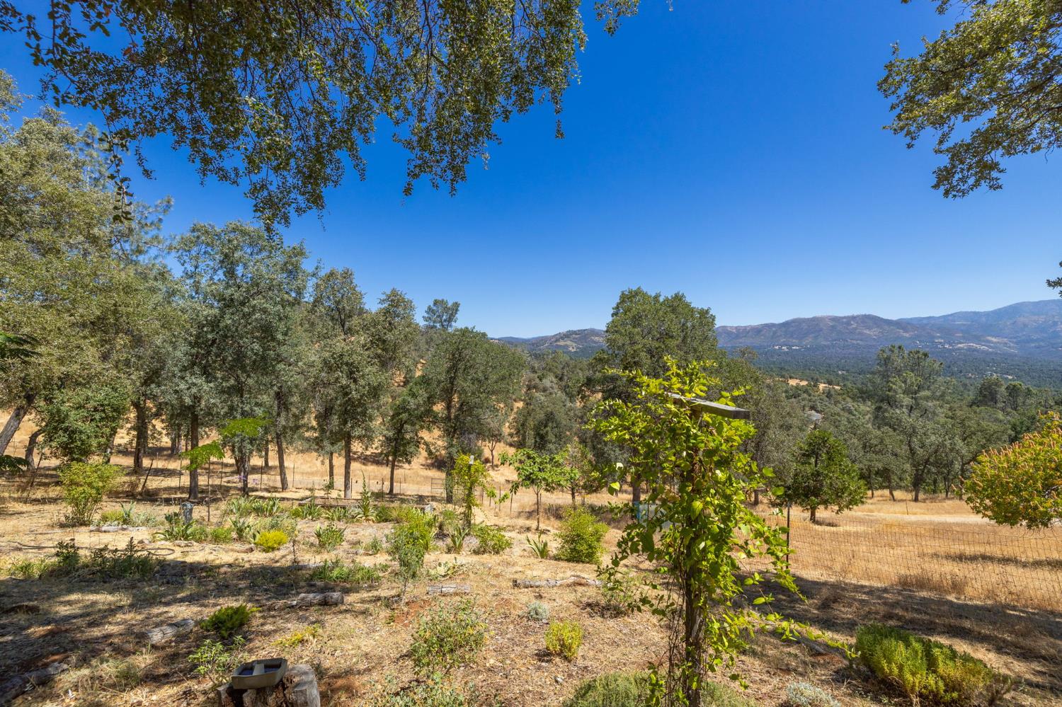 5231 Allred Road Mariposa, CA 95338 - Photo 42 of 69 Gallery Image 42