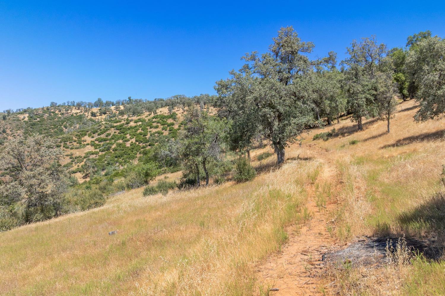 5231 Allred Road Mariposa, CA 95338 - Photo 66 of 69 Gallery Image 66