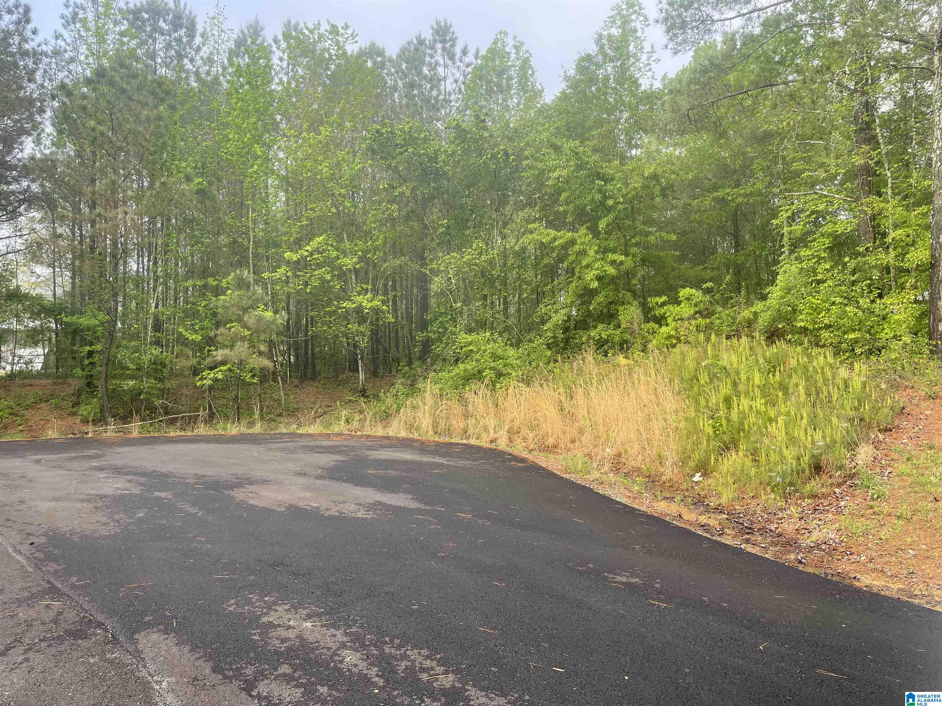 Courtney Drive, Unit 15 Eva, AL 35621 - Photo 2 of 3