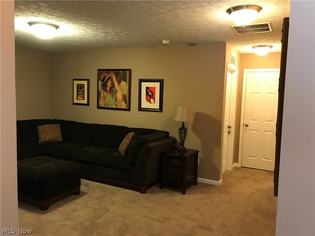161 Burwick Road Cleveland, OH 44143 - Photo 22 of 35 2nd Floor Loft Area