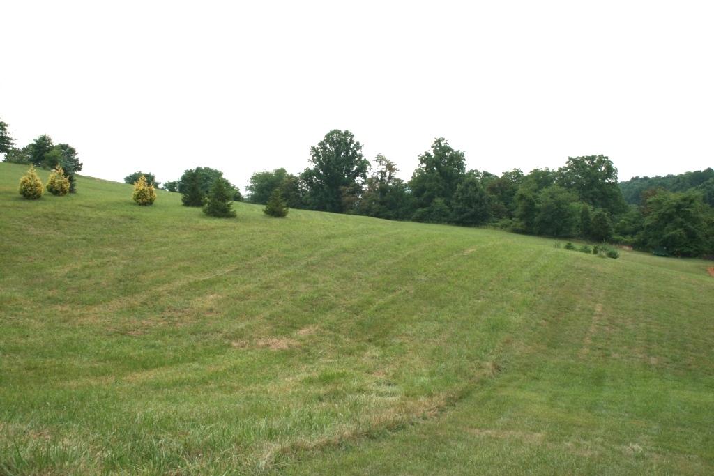 3325 Springwood Road Fincastle, VA 24090 - Photo 3 of 4 Backyard