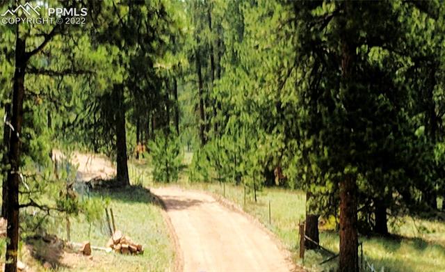 4573 Doe Valley Road Guffey, CO 80820 - Photo 37 of 37 Driveway to the home which cannot be seen from the road.