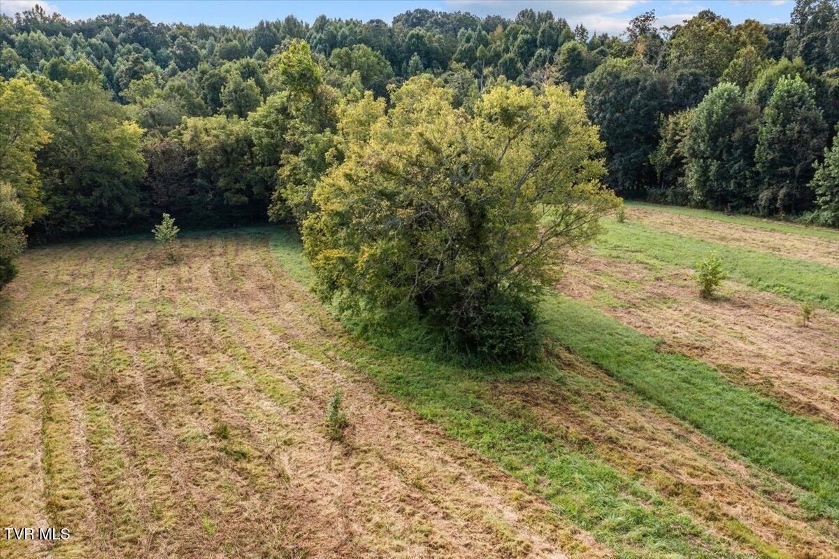 Tbd Little Cassi Creek Road, Unit 3 Chuckey, TN 37641 - Photo 11 of 17 11-DJI_0112