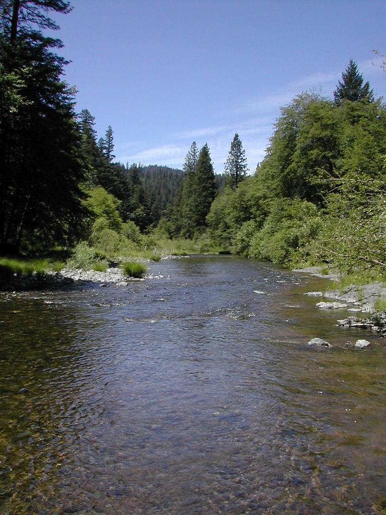 Hyompom Road Hayfork, CA 96041 - Photo 1 of 3 a view of a road with an trees in the background