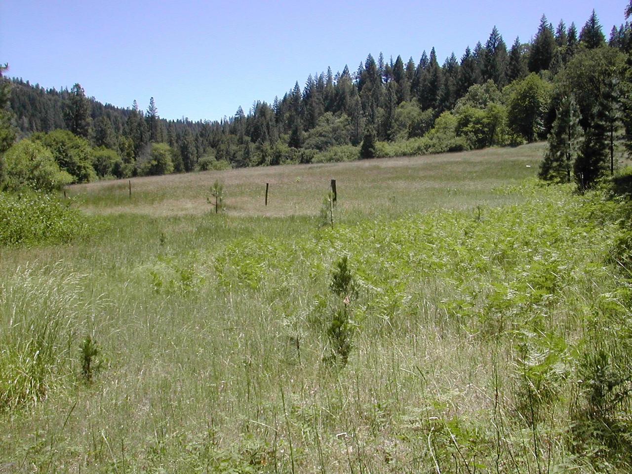 Hyompom Road Hayfork, CA 96041 - Photo 2 of 3 a view of outdoor space with trees all around
