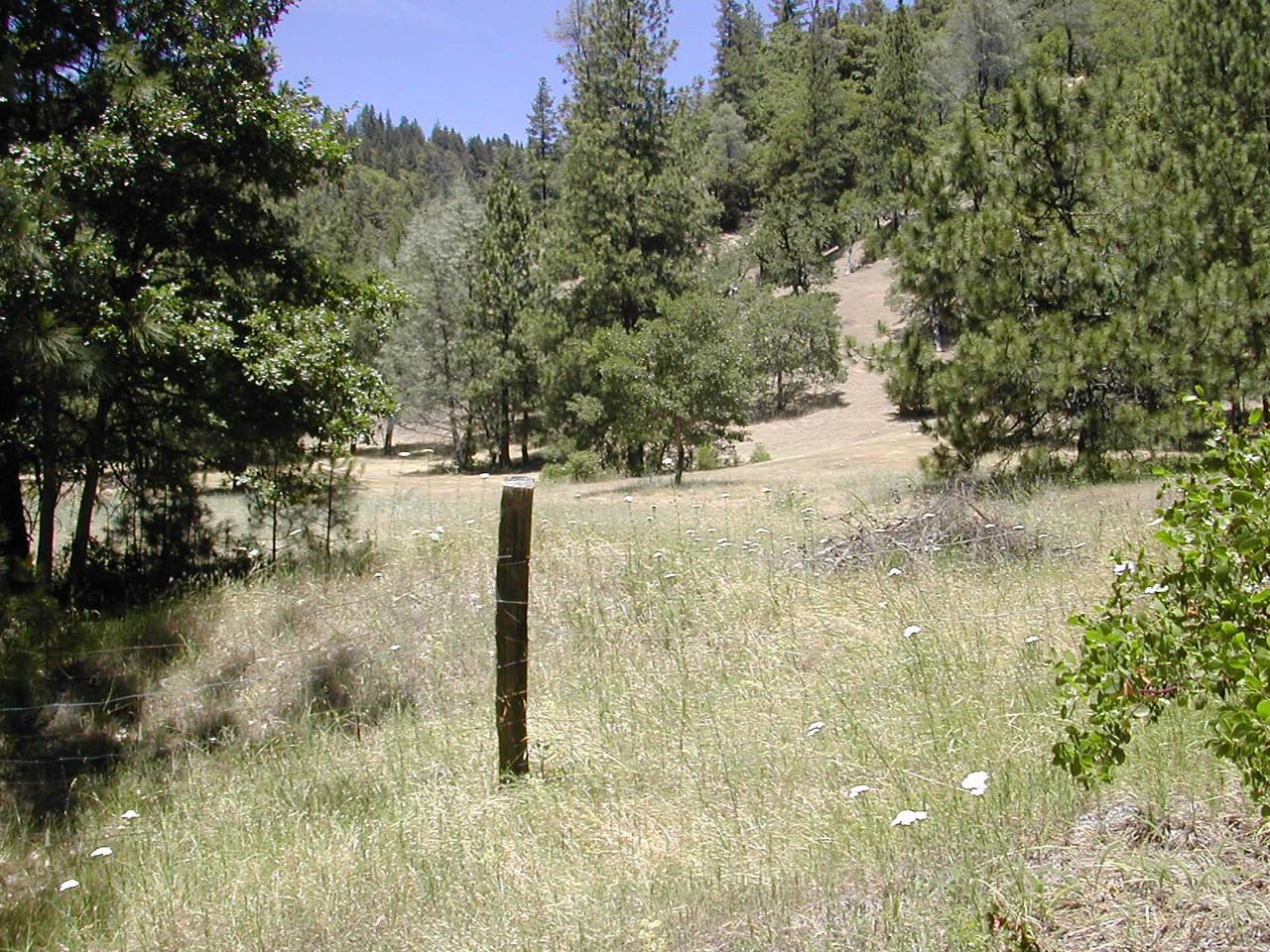 Hyompom Road Hayfork, CA 96041 - Photo 3 of 3 a view of a lake view