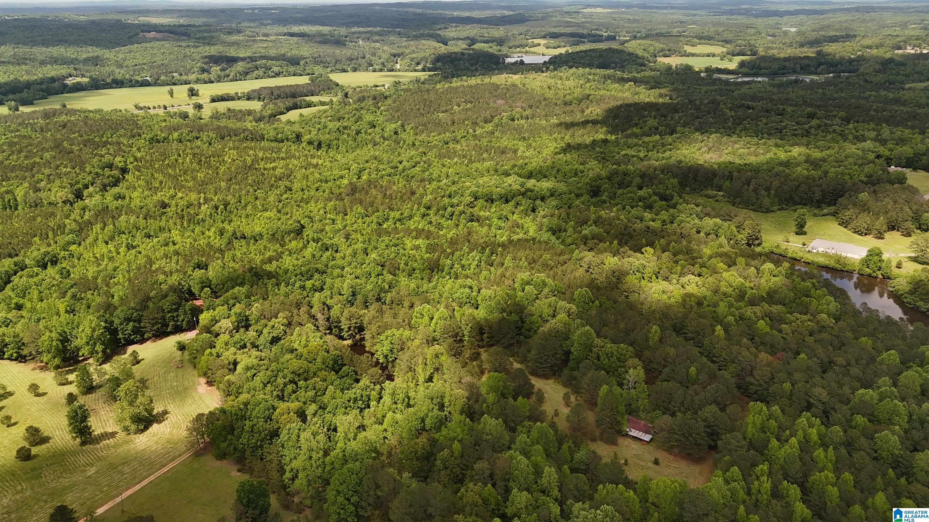 2488 Louina Road Roanoke, AL 36274 - Photo 94 of 97