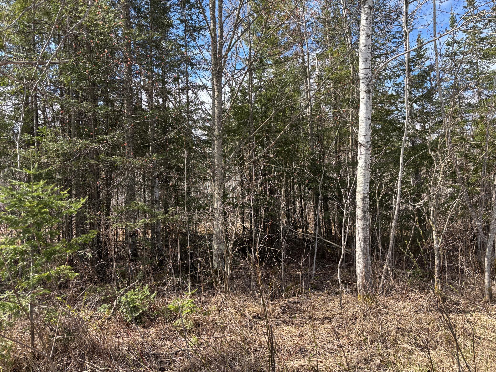 5358 East 4 Corners Road Cromwell, MN 55726 - Photo 2 of 9