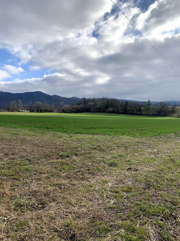 1704 Corby Bridge Road Chuckey, TN 37641 - Photo 7 of 43 a view of a big yard with lots of green space