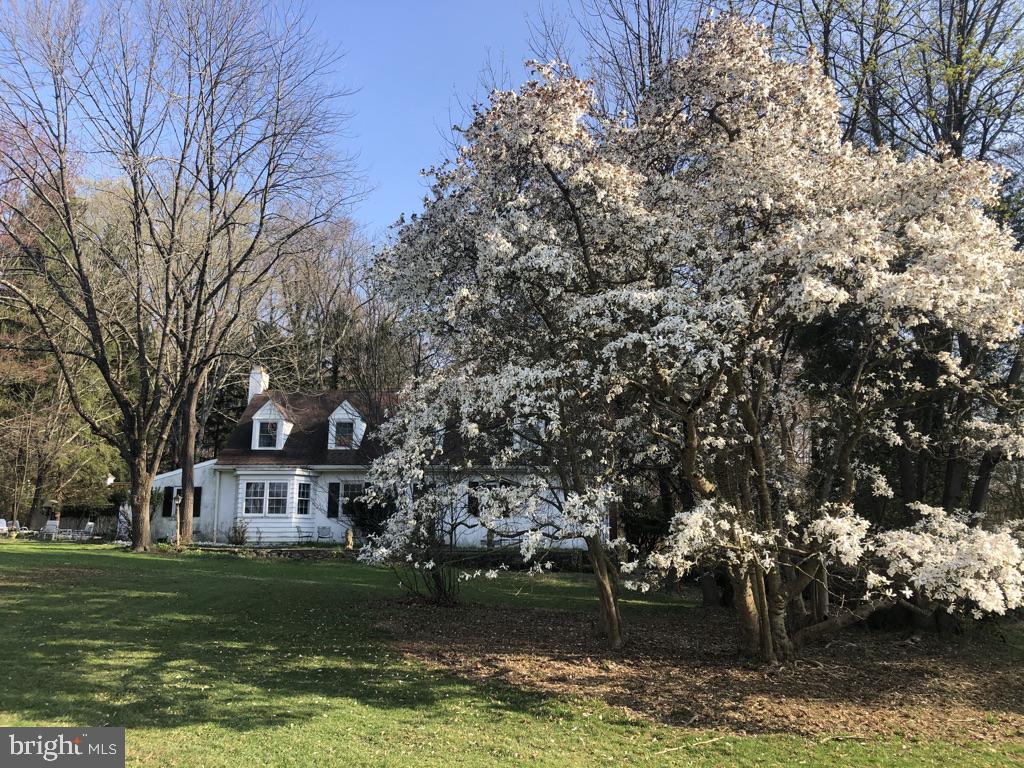 709 Rosedale Road Kennett Square, PA 19348 - Photo 64 of 69 Spring blooms