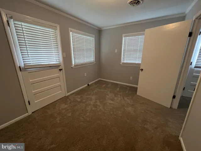 a view of a park with large trees