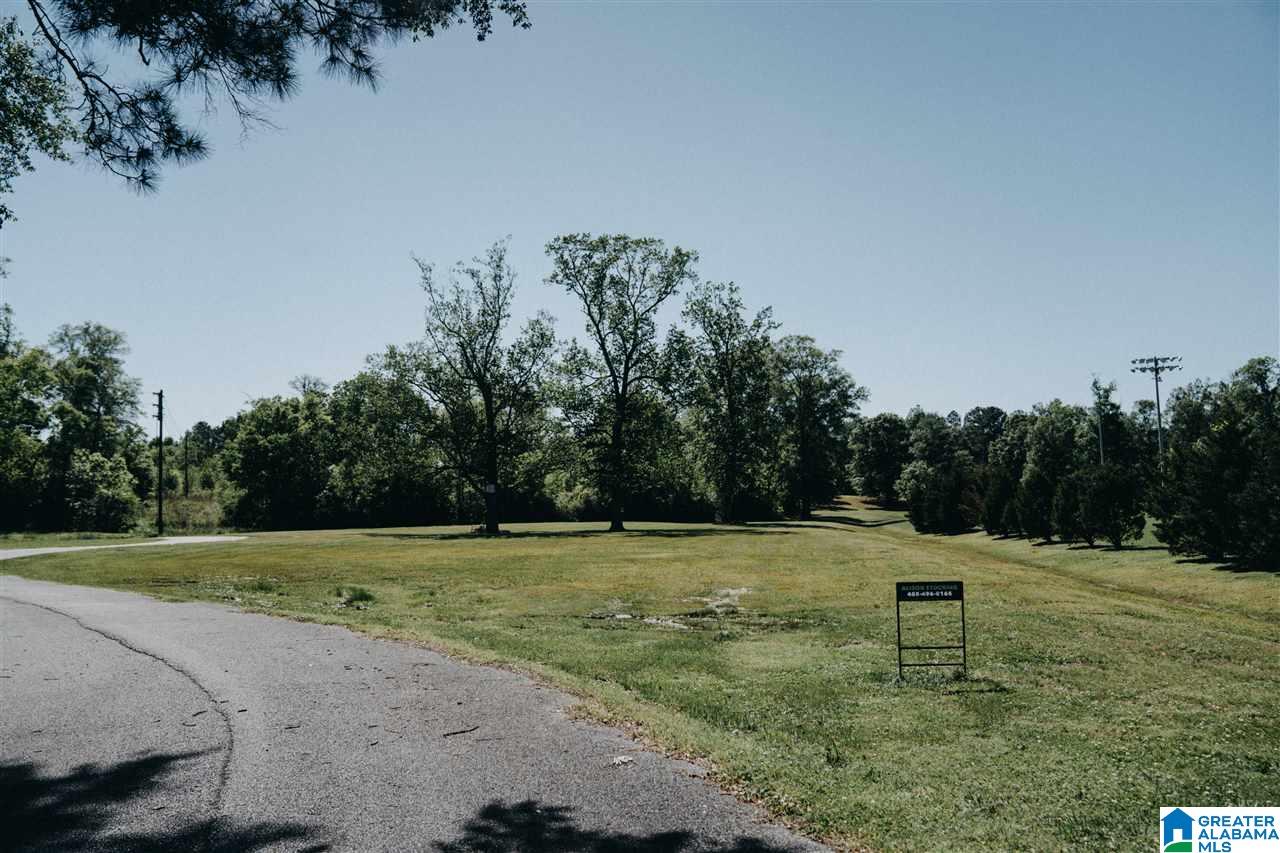 0 D Street Jacksonville, AL 36265 - Photo 18 of 23