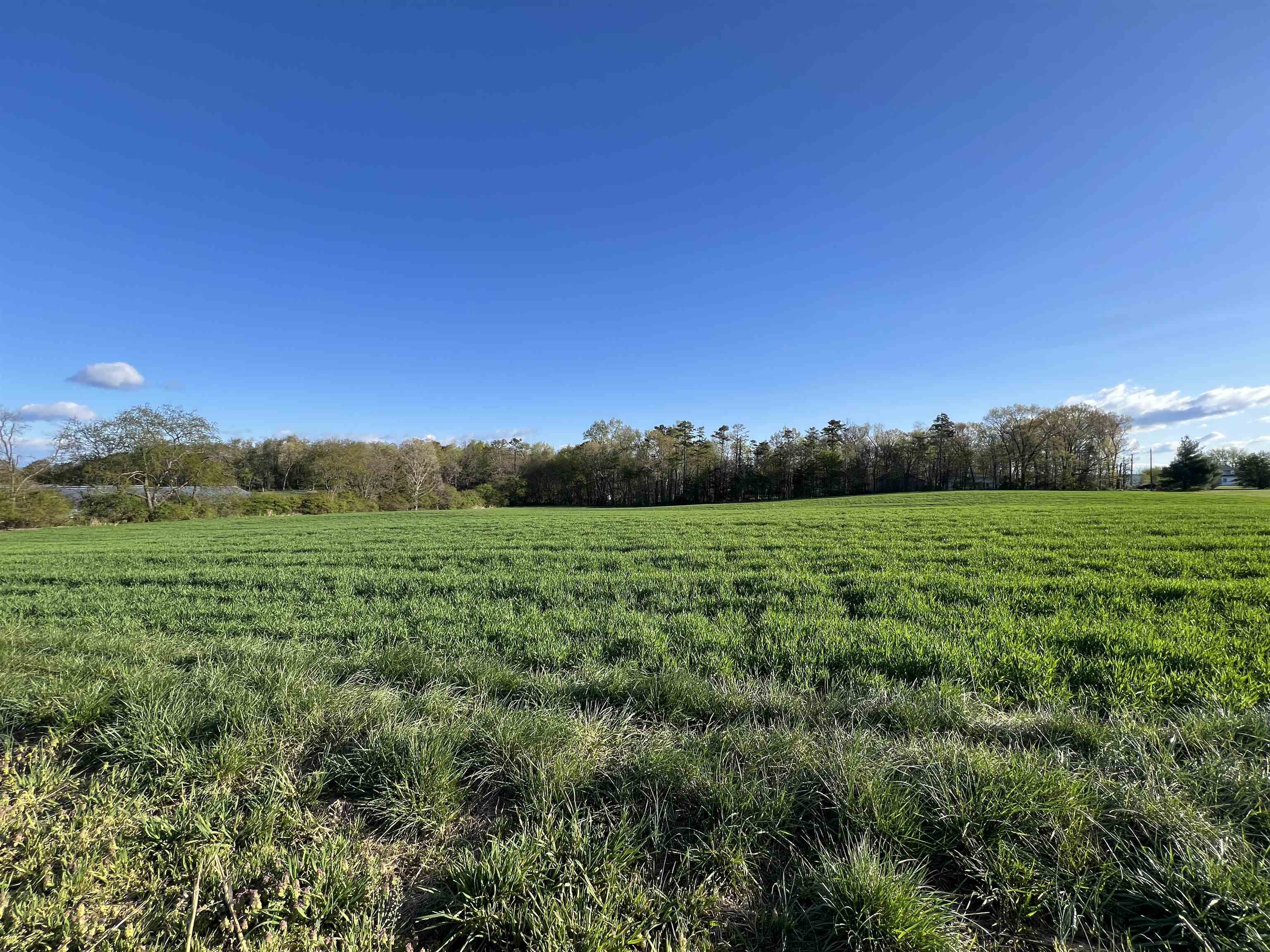 Tbd Morton Road Grottoes, VA 24441 - Photo 5 of 6 a view of a green field with trees in the background