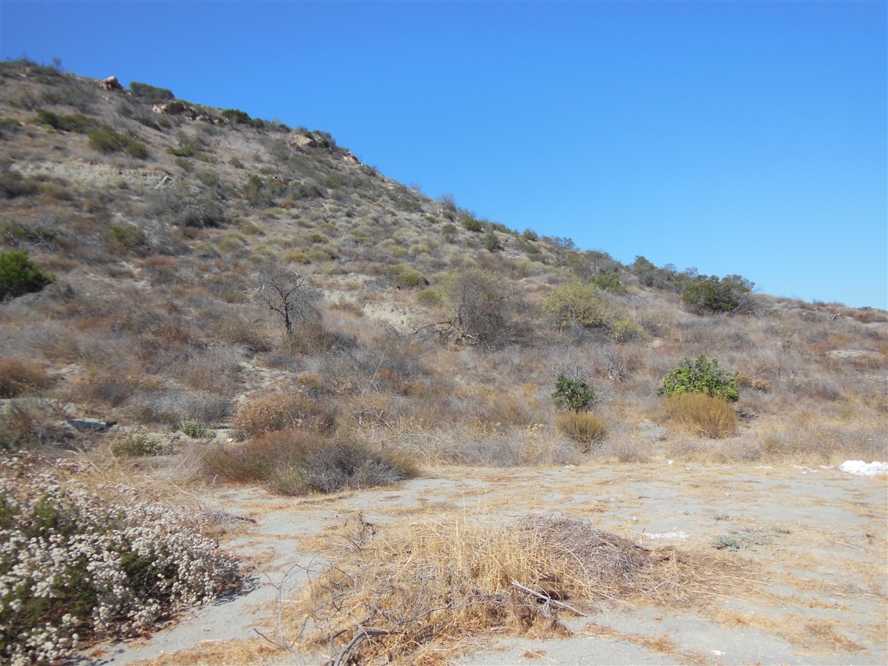 3589 Sage Road Fallbrook, CA 92028 - Photo 3 of 9