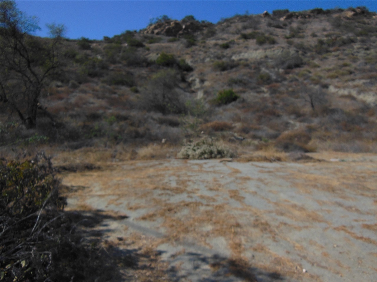 3589 Sage Road Fallbrook, CA 92028 - Photo 4 of 9