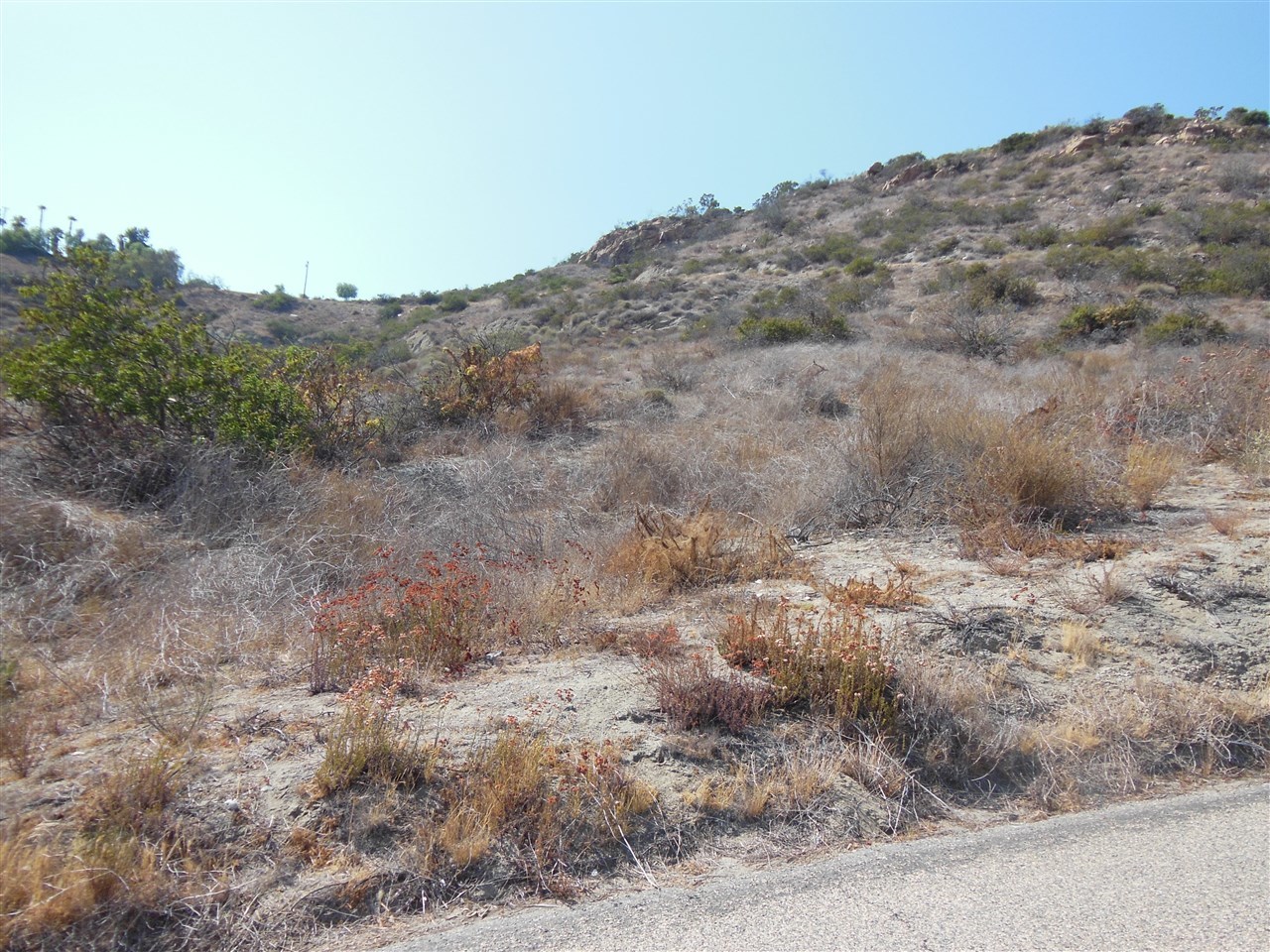3589 Sage Road Fallbrook, CA 92028 - Photo 7 of 9